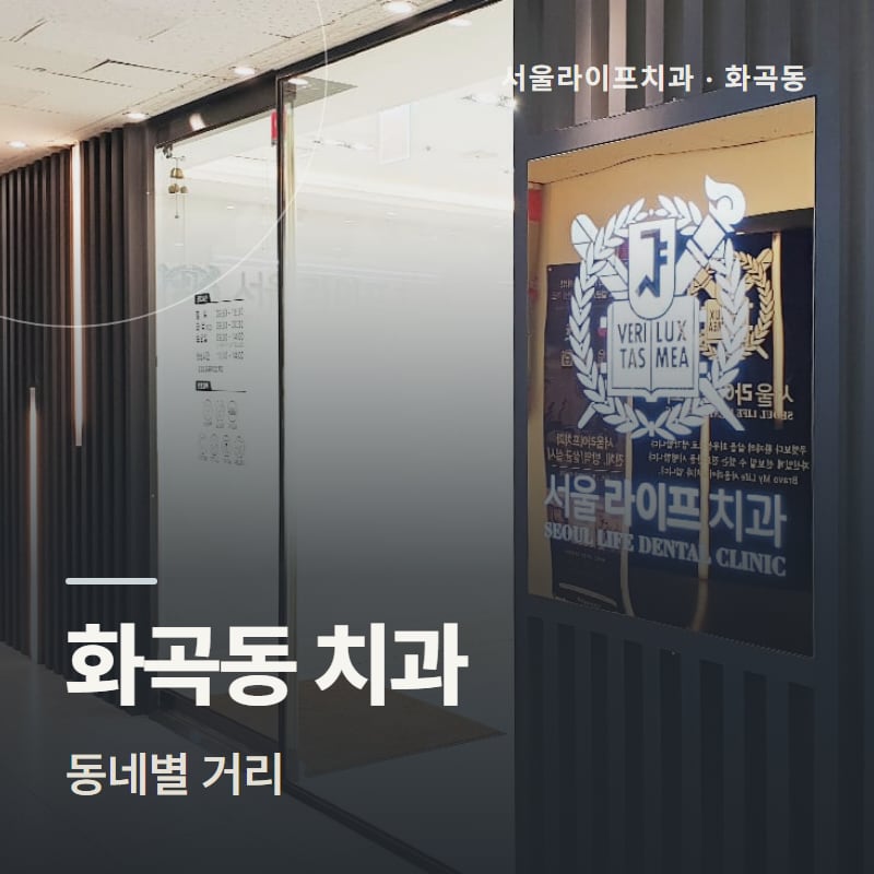 화곡동 치과 동네별 거리