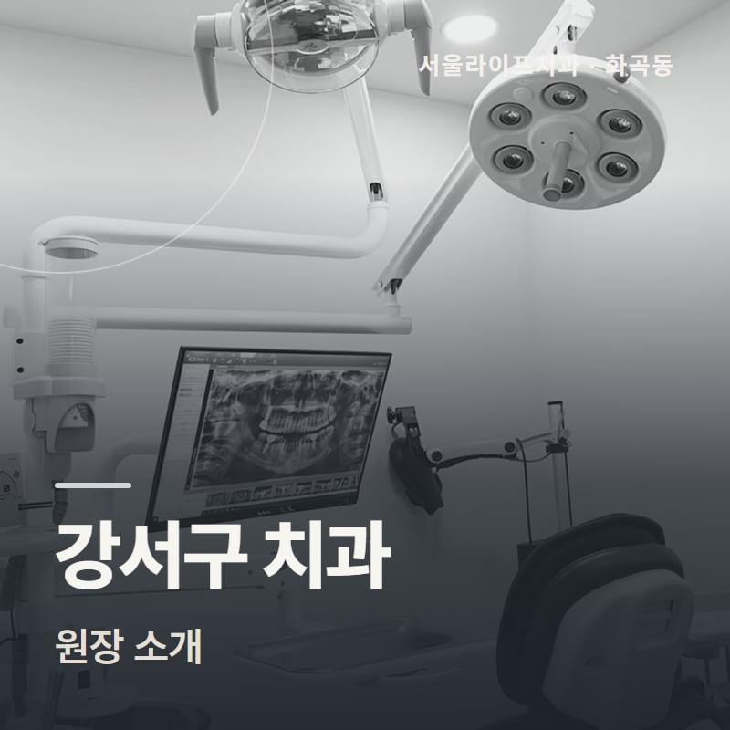 강서구 치과 원장 소개