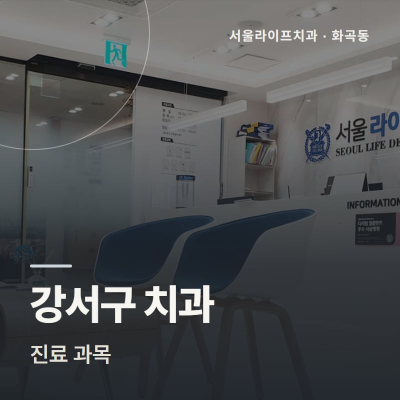 강서구 치과 진료 과목