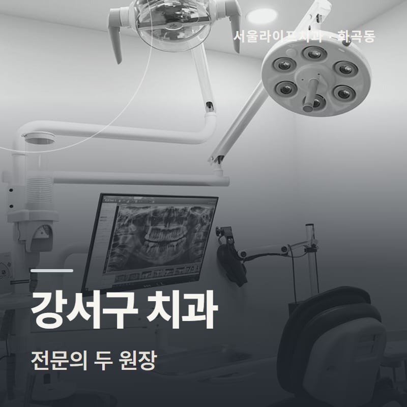 강서구 치과 전문의 두 원장