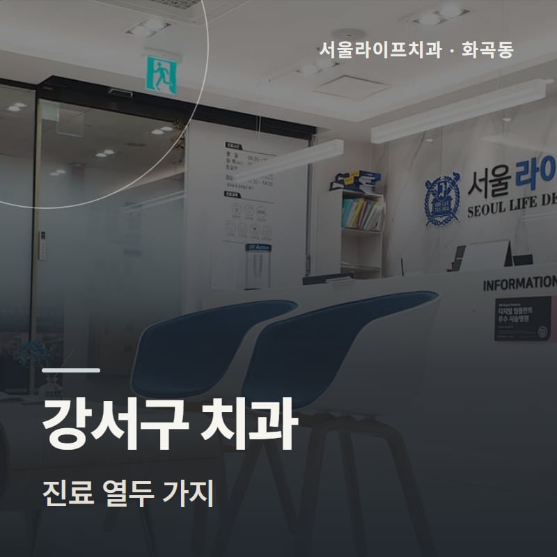 강서구 치과 진료 열두 가지