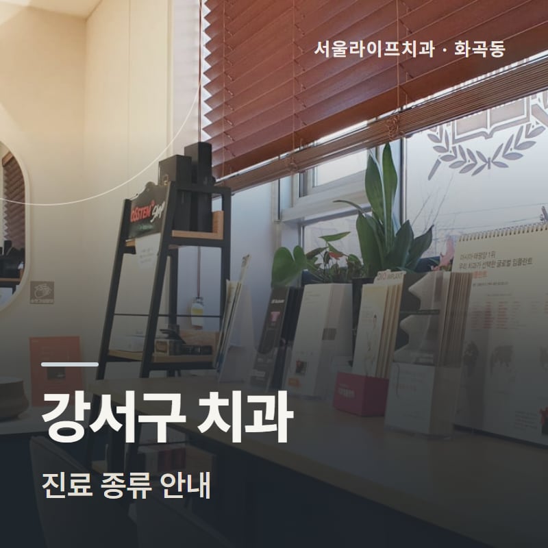 강서구 치과 진료 종류 안내